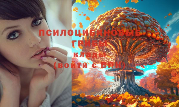 не бодяженный Куйбышев